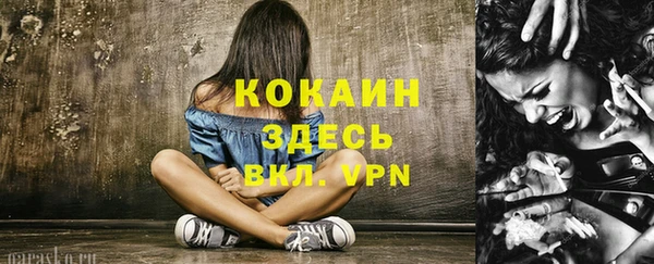 кокс Белокуриха