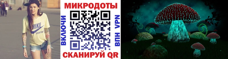 дарк нет состав  kraken как войти  Яхрома  Галлюциногенные грибы прущие грибы 